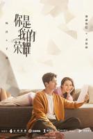 《你是我的荣耀》电视剧全集免费在线观看高清完整版